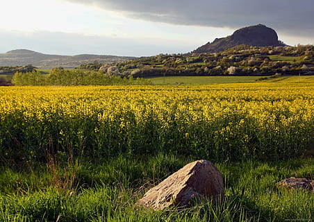 landscape, spring, rape, yellow, northern bohemia, spring landscape, clouds, bohemia, field, rock, mountain, phonolite, beauty in nature, scenics - nature, environment, land, growth, sky, tranquil scene, plant, tranquility, agriculture, rural scene, nature, flower, farm, no people, cloud - sky, mountain range, outdoors, 5K, CC0, public domain, royalty free