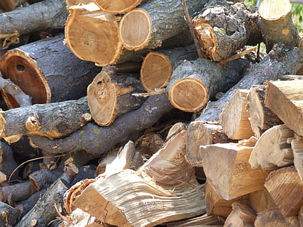 albero, Materiale, legna, tronco d'albero, natura, struttura, tronco, legname, ceppo, foresta, la deforestazione, industria del legname, legna da ardere, legno - materiale, fotogramma intero, grande gruppo di oggetti, giorno, nessuno, pila, sfondi, problemi ambientali, combustibile fossile, terra, combustibile e produzione di energia, all'aperto, inquinamento, 2K, CC0, dominio pubblico, privo di copyright