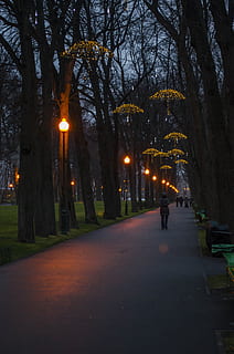 parque, cuadrado, camino, pista, luces, noche, tranquilo, ciudad, paseo, pocas personas, otoño, callejón, iluminado, árbol, luz de la calle, el camino a seguir, planta, calle, equipo de iluminación, dirección, naturaleza, gente real, gente, sendero, transporte, para caminar, arquitectura, personas incidentales, al aire libre, perspectiva decreciente, 4K, CC0, dominio público, libre de derechos