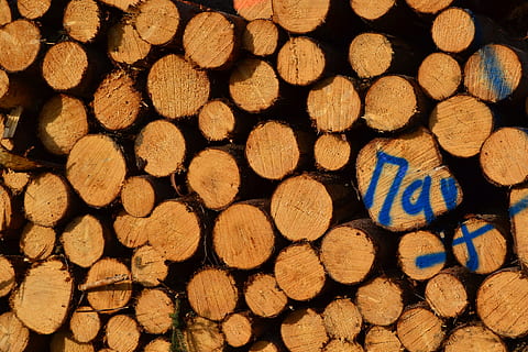 pila di legno, albero, sega, ceppo, casi, legna, fare legna, fotogramma intero, grande gruppo di oggetti, sfondi, legna da ardere, legno - materiale, legname, industria del legname, la deforestazione, pila, abbondanza, nessuno, foresta, natura, Marrone, modello, mucchio, preparativi, 4K, CC0, dominio pubblico, privo di copyright