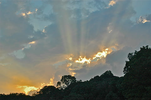 tramonto, sole, nuvole, all'aperto, raggi, striature, verdura, baldacchino, crepuscolo, natura, cielo, nessuno, albero, silhouette, nuvola - cielo, bellezza nella natura, la tranquillità, scenics - natura, pianta, scena tranquilla, idilliaco, raggio di sole, ambiente, cielo drammatico, Inquadratura dal basso, luce del sole, scena non urbana, cima dell'albero, 2K, CC0, dominio pubblico, privo di copyright