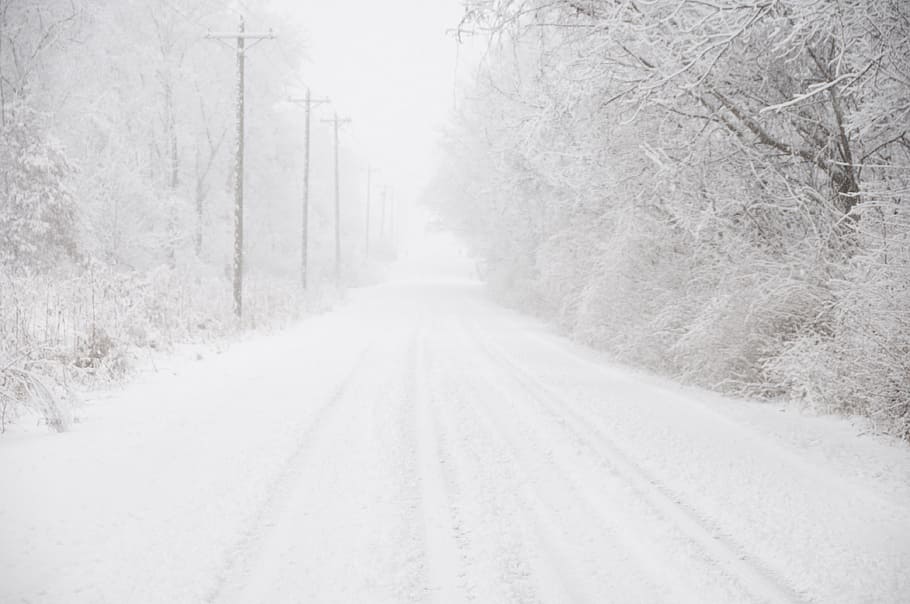 arbres, cobert, neu, carretera, hivern, fons, camp, relliscós, nevades, fred, blanc, congelat, temps, naturalesa, fred - temperatura, arbre, paisatge, escena rural, cap gent, temporada, nevar, gel, a l'aire lliure, escena no urbana, bosc, gelades, dia, blanc i negre, escenics, vent de neu, carretera nacional, transport, temperatura de fred, el camí a seguir, Color blanc, direcció, planta, perspectiva decreixent, pista de pneumàtics, bellesa a la natura, punt de fuga, terra, clima extrem, treelined, 4K