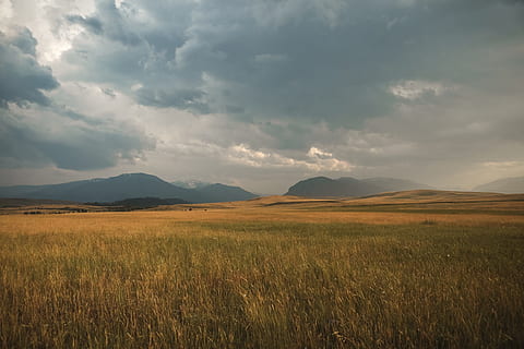 grønne risfelt, landskap, storm, skyer, skyet, Enger, gress, fjellene, landlig, slettene, himmel, sky - himmel, rolig scene, ro, miljø, skjønnhet i naturen, land, naturskjønnhet - natur, felt, anlegg, ingen folk, ikke-urbane scene, fjell, natur, landlige scene, vekst, dag, fjellkjede, utendørs, 1080P, CC0, offentlig domene, opphavsrett gratis