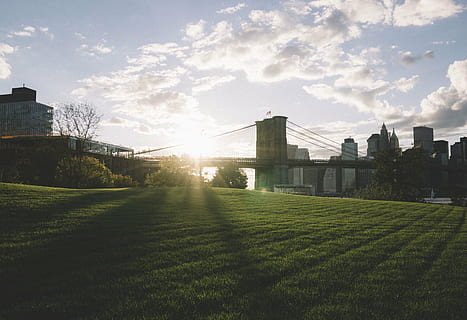 tower bridge, noros, cer, arhitectură, clădire, infrastructură, albastru, nori, răsărit, raza de soare, dimineaţă, verde, iarbă, camp, oraș, urban, exteriorul clădirii, construită, lumina soarelui, în aer liber, nor - cer, nici o persoana, zi, natură, plantă, lentila flacara, rază de soare, Culoarea verde, peisaj, soare, creştere, 5K, CC0, domeniu public, fără drepturi de autor