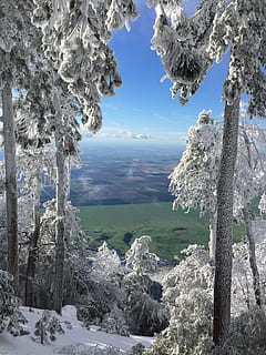 Entfernung, Baumsicht, Schnee, Frost, Baum, Aussicht, Himmel, Winter, Schönheit, Eis, Ast, draussen, Jahreszeit, Wetter, Natur, kalte Temperatur, Berg, Schönheit in der Natur, Pflanze, ruhige Szene, Ruhe, Szenen - Natur, gefroren, Umgebung, keine Leute, Landschaft, Nicht-städtische Szene, Tag, idyllisch, Land, Kofferraum, draußen, schneebedeckter Berg, Eiszapfen, Nadelbaum, 2K, CC0, gemeinfrei, lizenzfrei