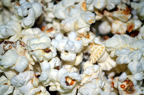Popcorn, Corn, Kernel, Kernels, Burst, corn, kernel, pop, popped, snack, food, maize, large group of objects, large group of animals, group of objects, no people, animal themes, man made, market, full frame, abundance, close-up, animal, retail, food and drink, for sale, backgrounds, business, group of animals, animal wildlife, seafood, market stall, shell, sale, retail display, consumerism, 4K, CC0, public domain, royalty free