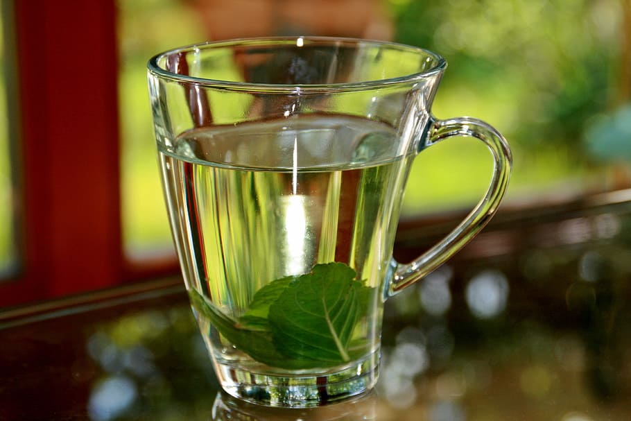 clar, tassa de vidre, ple, líquid, te de menta, tee, menta, calenta, tassa, menjar i beguda, vidre, menjar, centrar-se en primer pla, beure, primer pla, refresc, full, te, vidre - material, transparent, cap gent, copa, alimentació saludable, te - beguda calenta, color verd, part de la planta, beguda calenta, equipament per a la llar, frescor, herba, tassa de te, càntir, 4K