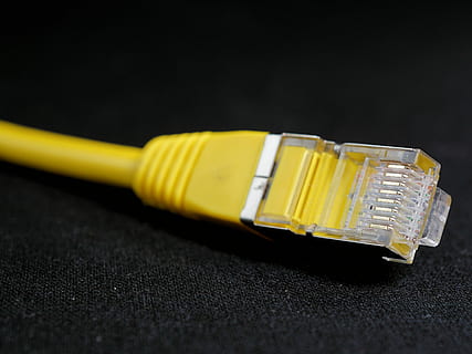 żółty, kabel Ethernet, czarny, powierzchnia, sieć, kabel, lan, drut, korek, Plastikowy, połączenie, sprzęt, wlan, komputer, wtyczka, połączyć, porozumiewanie się, Informatyka, programowanie, cyfrowy, dwójkowy, networking, www, wymiana danych, technologia, pc, Internet, pamięć, edp, to, sprzęt komputerowy, transfer, linia, transfer danych, kabel do transmisji danych, śieć komputerowa, zbliżenie, żadnych ludzi, wtyczka połączenia sieciowego, kabel komputerowy, studio strzał, przemysł, biznes, wyposażenie komputera, wewnątrz, technologia bezprzewodowa, czarne tło, gospodarka, 2K, CC0, domena publiczna, darmowe zdjęcia