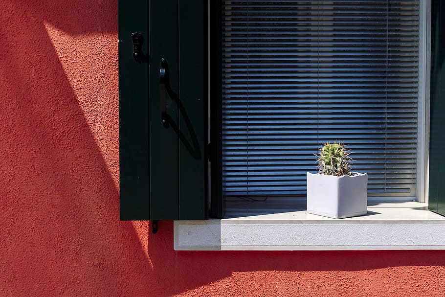 verd, planta de cactus, blanc, olla, persianes de finestres, darrere, fulles, planta, edifici, finestra, llum solar, ombra, vermell, negre, obturador, cactus, color, fujifilm, sol, mínim, cactú, arquitectura, naturalesa, cap gent, exterior de l'edifici, porta, entrada, estructura construïda, dia, planta en test, funció de construcció de parets, a l'aire lliure, tancat, seguretat, flor, 2K