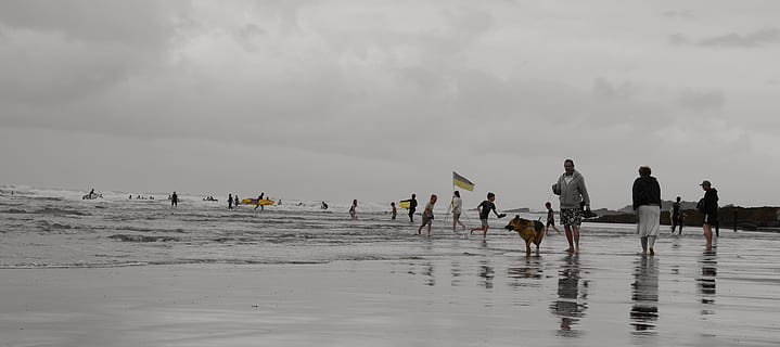 strand, szelektív szín, bude, cornwall, bude, Cornwall, homok, tenger, óceán, ég, víz, házi állat, szabadban, természet, nap, igazi emberek, föld, ember csoport, felhő - ég, környezet, emberek, férfiak, szabadidős tevékenység, mozgás, hullám, felnőtt, 5K, CC0, közkincs, jogdíjmentes
