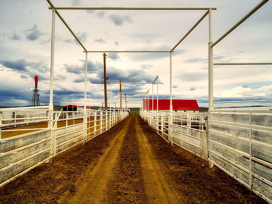Wyoming, corrals, struttura, tramonto, crepuscolo, sporco, azienda agricola, ranch, cielo, nuvole, paesaggio, mezzi di trasporto, ferrovia, stazione, nuvola - cielo, trasporto ferroviario, direzione, la strada davanti, natura, nessuno, prospettiva decrescente, treno, traccia, giorno, modo di trasporto, treno - veicolo, trasporto pubblico, all'aperto, viaggio, architettura, punto di fuga, 1080P