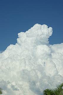 nube, thunderhead, soffice, grande, bianca, cumulo nimbo, tempesta, luminosa, temporale, fulmine, drammatico, cielo, tempo metereologico, tempestoso, meteorologia, grave, suggestivo, natura, blu, nuvola - cielo, giorno, all'aperto, estate, sfondi, bellezza nella natura, nessuno, scenics - natura, la tranquillità, Colore bianco, Inquadratura dal basso, scena tranquilla, idilliaco, luce del sole, Cloudscape, morbidezza, 4K, CC0, dominio pubblico, privo di copyright