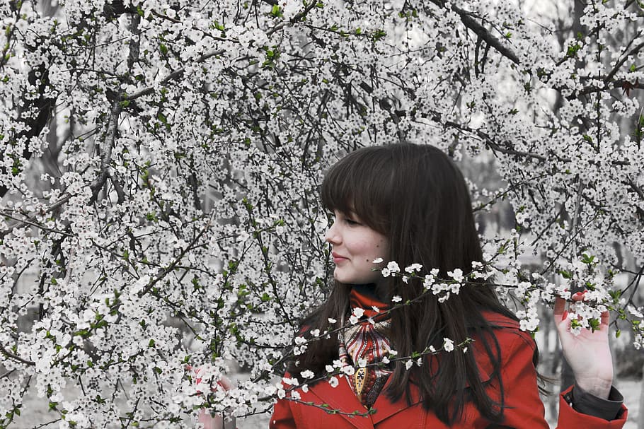 dona, portar, vermell, abric, de peu, arbre, durant el dia, primavera, flors, cirera, flor de cirerer, naturalesa, branca, genial, sakura, Japó, noia, florir, passeig, sessió de fotos, jardí, arbre amb flors, a l'aire lliure, arbres, pot, arbres en flor, flor, planta amb flors, planta, una persona, bellesa a la natura, creixement, fragilitat, retrat, dones, persones reals, frescor, tirada al cap, pentinat, vulnerabilitat, estils de vida, cabell, cirerer, 1080P