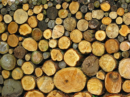 Log, protokolliert, Haufen, Stapel, Holz, hölzern, Nahansicht, Foto, Einzelheiten, Hintergrund, Bild, Bauholz, Holzindustrie, Wald, Brennholz, Baum, Vollbild, Hintergründe, Abholzung, Holz - Material, große gruppe von gegenständen, Kraftstoff- und Stromerzeugung, Fülle, Umweltprobleme, fossiler Brennstoff, keine Leute, Natur, Holzstapel, draußen, gehackt, 1080P, CC0, gemeinfrei, lizenzfrei