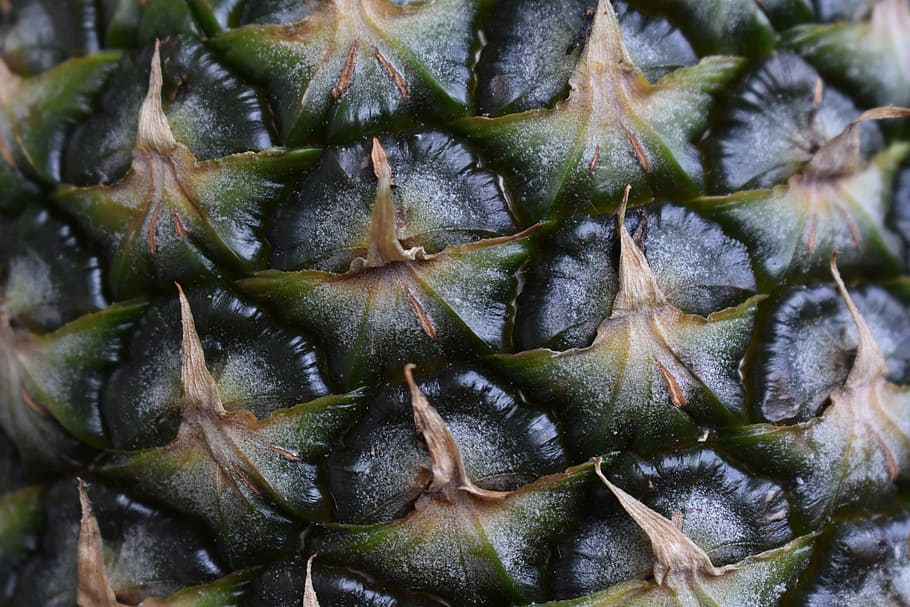 ananas, ovoce, jídlo a pití, detail, jídlo, Zdravé stravování, pozadí, blahobyt, celý rám, svěžest, nikdo, stálý život, den, tropické ovoce, zelená barva, vzor, přírodní vzor, hojnost, velká skupina objektů, Příroda, 5K
