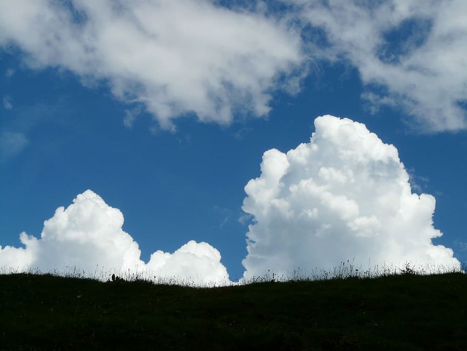 cumulus skyer, Sky, cumulus, tordenvejr, himmel, blå, regn, vejr, skyer form, stålblå, sky - himmel, dag, landskab, landlige scene, ro, rolig scene, skønhed i naturen, natur, miljø, Mark, jord, scenics - natur, plante, ikke-urbane scene, græs, ingen mennesker, udendørs, lav vinkel visning, hvid farve, 2K
