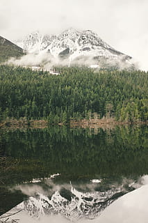 verd, pins, frontal, serres, cos, aigua, boira, muntanya, fulla verda, arbres, cos d'aigua, llac, reflexió, bosc, de fulla perenne, naturalesa, paisatge, escenics, arbre, a l'aire lliure, bellesa a la natura, Serra, núvol - cel, neu, cap gent, escenics - natura, escena tranquil·la, tranquil·litat, davant del mar, planta, dia, cel, idíl·lic, moviment, escena no urbana, terra, aigua que flueix, poder a la natura, 4K, CC0, domini públic, lliure de regalies