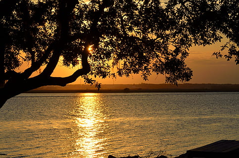 por do sol, céu, sol abaixo, noite, beleza, laranja, cor, rio, flórida, clima tropical, verão, Dom, natureza, viagem, panorama, período de férias, tarde, nuvens, silhueta, agua, exterior, de praia, mar, oceano, cenário, crepúsculo, beleza na natureza, árvore, scenics - natureza, plantar, cor laranja, tranquilidade, cena tranquila, idílico, luz solar, reflexão, cena não urbana, ao ar livre, horizonte sobre a água, ninguém, 4K, CC0, domínio público, royalty free