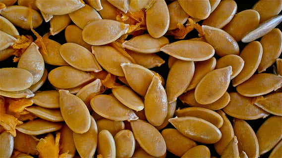 semințe de squash, dovleac, fruct, sămânță, vegetal, natură, mancare si bautura, grup mare de obiecte, alimente, cadru complet, prospeţime, fundaluri, mâncat sănătos, abundenţă, bunăstare, natură moartă, a închide, nici o persoana, în interior, grup, galben, uscat, morman, fructe uscate, grup de obiecte, gustare, 4K, CC0, domeniu public, fără drepturi de autor
