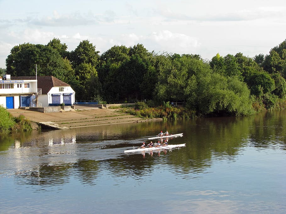 rem, riu thames, thames, riu, riu, thames, riu, thames, remers, embarcacions, aigua, barnes, boathouse, esport, recreació, activitat, arbre, dia, a l'aire lliure, llac, naturalesa, planta, manera de transport, transport, vaixell nàutic, davant del mar, cel, creixement, estructura construïda, núvol - cel, bellesa a la natura, color verd, arquitectura, 2K