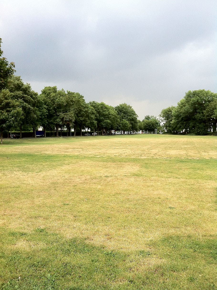 pressa, estiu, sec, sequera, bolzplatz, camp de futbol, arbres, superfície, planta verda pública, núvols grisos, gewitter stimmung, temps, groc, verd, naturalesa, herba groguenca, planta, herba, arbre, cel, color verd, terra, medi ambient, núvol - cel, camp, dia, paisatge, bellesa a la natura, escena tranquil·la, cap gent, tranquil·litat, creixement, a l'aire lliure, escenics - natura, esport, 2K