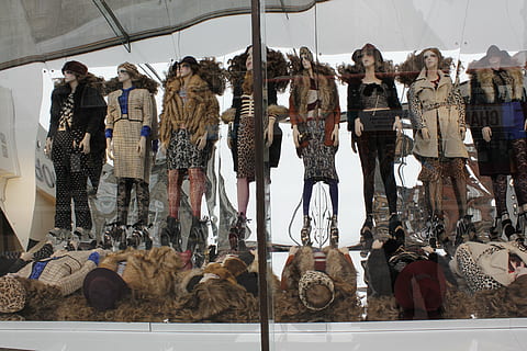 immagine riflessa, display, attività commerciale, mancato, Al dettaglio, sospeso, grande gruppo di oggetti, animale, abbondanza, shopping, in vendita, scelta, mercato, giorno, variazione, preparativi, pesce, esposizione al dettaglio, nessuno, vertebrato, memorizzare, frutti di mare, cibo, saldi, 5K, CC0, dominio pubblico, privo di copyright
