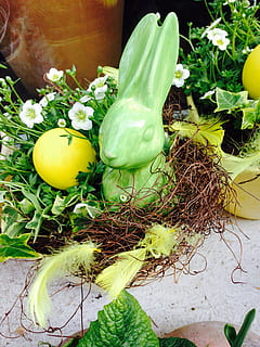 påske, hare, forår, blomster, Påske hare, æg, plante, friskhed, grøn farve, mad og drikke, mad, natur, høj vinkel visning, ingen mennesker, dag, grøntsag, blomst, blad, tæt på, vækst, plante del, sund kost, blomstrende plante, skønhed i naturen, velvære, gul, 2K, CC0, offentligt domæne, royaltyfrie