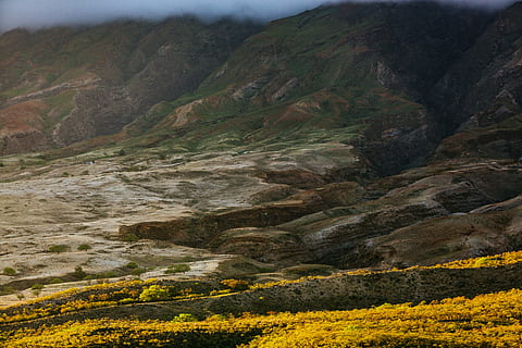 hijau, Abu-abu, gunung, gunung abu-abu, alam, pemandangan, kuning, di luar rumah, bunga, tidak ada orang, keindahan di alam, pemandangan pedesaan, bukit, pemerkosaan biji minyak, hari, scenics - alam, ketenangan, lingkungan Hidup, adegan yang tenang, menanam, adegan non-urban, pegunungan, batu, idilis, tanah, padat, batu - benda, terpencil, formasi batuan, pembentukan, 5K, CC0, domain publik, bebas royalti