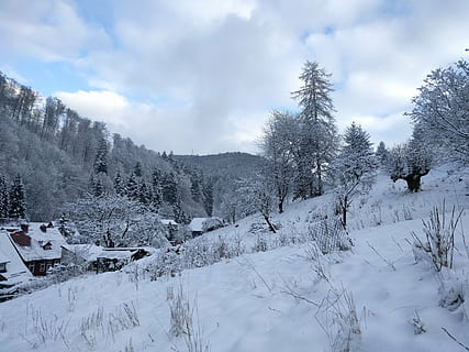 Winter, Schnee, winterlich, Wald, Natur, Wintertraum, Landschaft, Winterbüsche, kalte Temperatur, wolke - himmel, Himmel, Baum, Pflanze, Szenen - Natur, Schönheit in der Natur, Ruhe, ruhige Szene, weiße Farbe, keine Leute, Tag, Berg, Umgebung, Abdeckung, schneebedeckter Berg, 4K, CC0, gemeinfrei, lizenzfrei