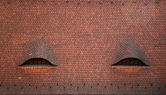 brunt hus tag, tagterrasse, minimal, øje, top, mursten, mønster, baggrunde, rød, arkitektur, tag, materiale, byggebranchen, bygget struktur, bygning udvendig, ingen mennesker, bygning, dag, Brun, murbygningsfunktion, tekstureret, murstens væg, hus, fuld ramme, tagsten, væg, boligområde, udendørs, 4K, CC0, offentligt domæne, royaltyfrie