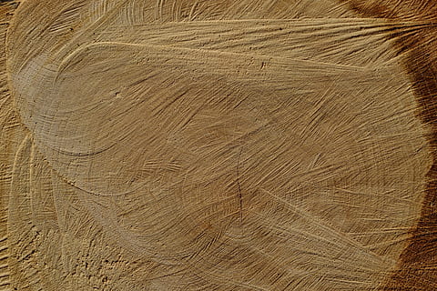 untitled, log, struktur, træ, makro, tæt, stamme, stammer, tykkere stamme, træstammer, dødt træ, synes godt om, Skov, natur, træ tekstur, parti, Brænde, baggrunde, tekstureret, mønster, tæt på, ingen mennesker, fuld ramme, Brun, træ - materiale, trækorn, ru, gulve, tømmer, kopiere plads, naturligt mønster, planke, udendørs, overflade niveau, træ ring, tekstureret effekt, luksus, 5K, CC0, offentligt domæne, royaltyfrie
