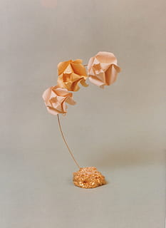 rama, Rosa, las flores, objetos, origami, mueble, aficiones, foto de estudio, adentro, fondo gris, flor, de cerca, frescura, gris, vulnerabilidad, planta floreciendo, fragilidad, fondo de color, planta, comida y bebida, comida, participación, copia espacio, nadie, belleza en la naturaleza, pétalo, emoción, 1080P, CC0, dominio público, libre de derechos