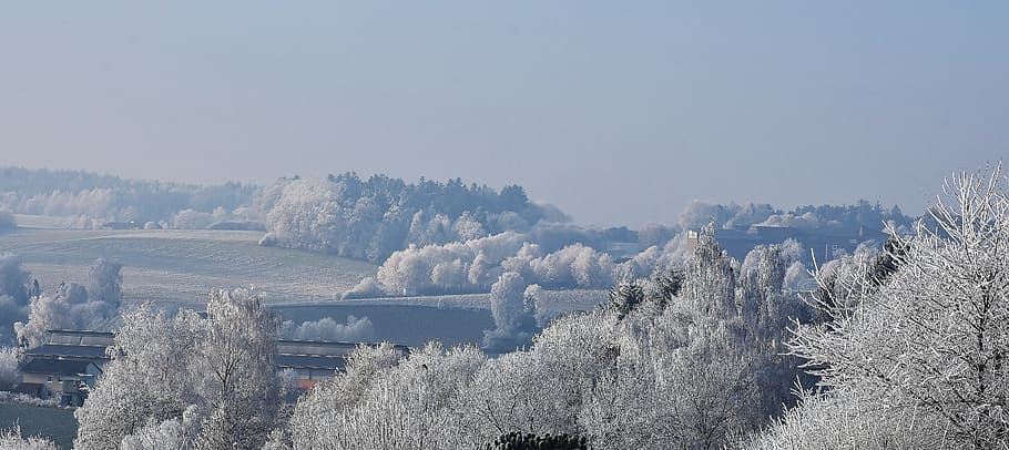 Schnee, bedeckt, Bäume, wolkig, Himmel, Winter, kalt, eisig, Raureif, bitterkalt, ze, Landschaft, winterlich, Felder, Acker-, Einsamkeit, sich ausruhen, Entspannung, Entspannen Sie Sich, breit, Wiederherstellung, Weg, verlassen, Sehnsucht, Reise, Urlaub, entfernt, Vision, Resort, Pflanze, kalte Temperatur, Natur, Baum, die Architektur, keine Leute, gebaute Struktur, Umgebung, Szenen - Natur, Schönheit in der Natur, Gebäudehülle, Tag, draußen, gefroren, kopieren sie platz, 5K
