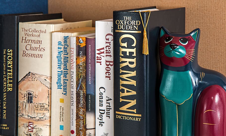 různé knihy, regál, knih, čtení, učení se, vzdělání, znalost, bookend, referenční knihy, rozmanitost, studie, literatura, informace, výzkum, rezervovat, knihovna, text, uvnitř, nikdo, vydání, stálý život, západní skript, sdělení, detail, vzor, přímo nad, variace, vysoký úhel pohledu, číslo, móda, dřevo - materiál, výběr, kůže, 5K