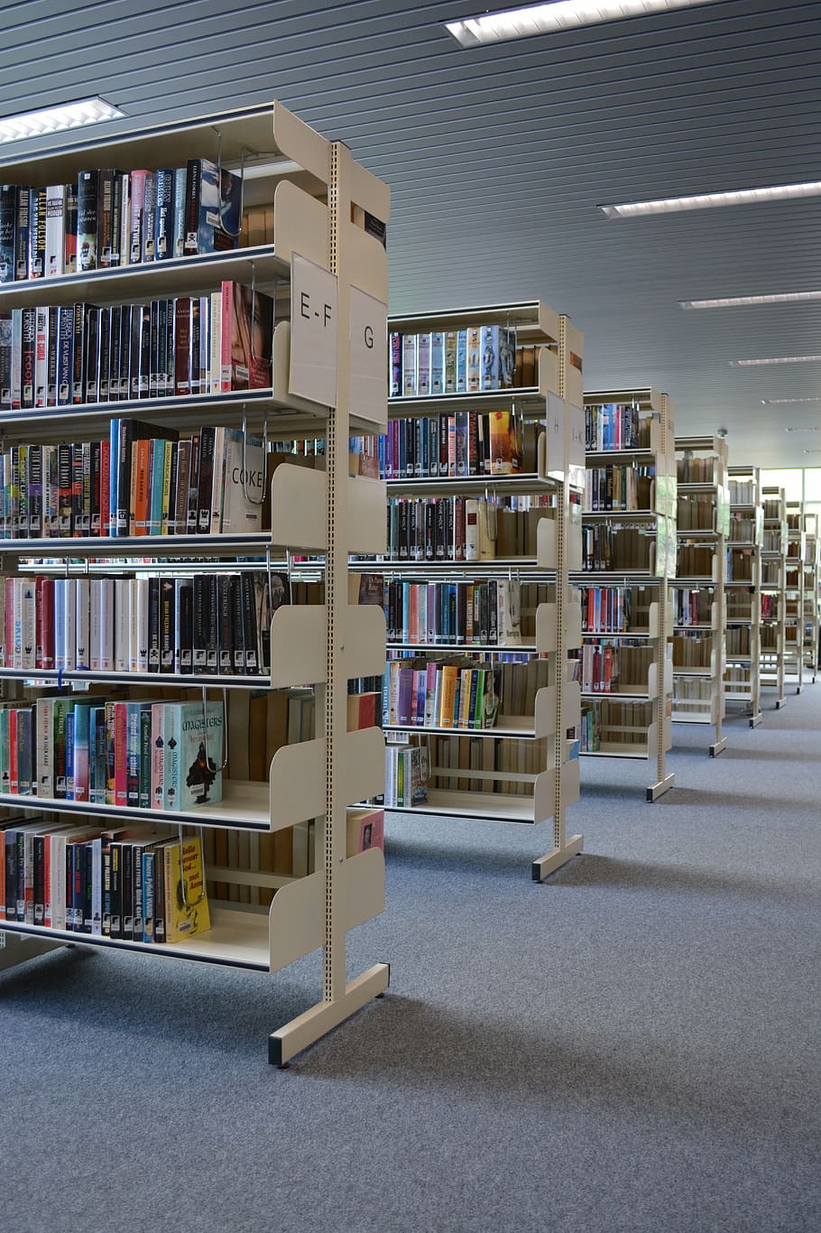 libri, biblioteca, leggere, segnalibri, scaffale, libro, pubblicazione, mensola, formazione scolastica, grande gruppo di oggetti, variazione, letteratura, scelta, apprendimento, abbondanza, in casa, preparativi, di fila, ordine, persone, collezione, architettura, 5K