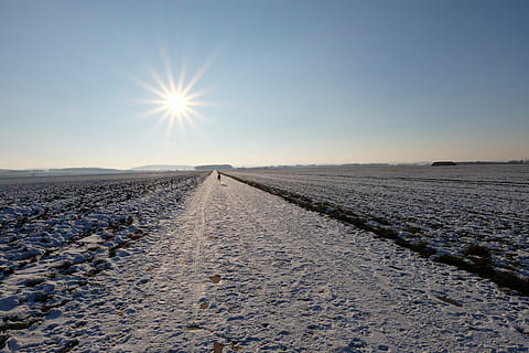 sun, winter, away, blue, sky, snow, back light, cold, sunlight, sunset, outdoors, no people, straight, nature, day, clear sky, landscape, scenics - nature, tranquility, land, tranquil scene, environment, diminishing perspective, direction, transportation, non-urban scene, lens flare, road, arid climate, salt flat, 4K, CC0, public domain, royalty free