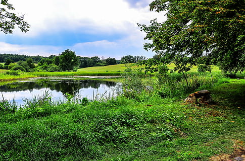 quinielas, estanque, biotopo, descanso, naturaleza, planta, árbol, hierba, color verde, tranquilidad, agua, escena tranquila, belleza en la naturaleza, paisajes - naturaleza, crecimiento, lago, cielo, tierra, reflexión, nadie, escena no urbana, día, nube - cielo, al aire libre, 4K, CC0, dominio público, libre de derechos