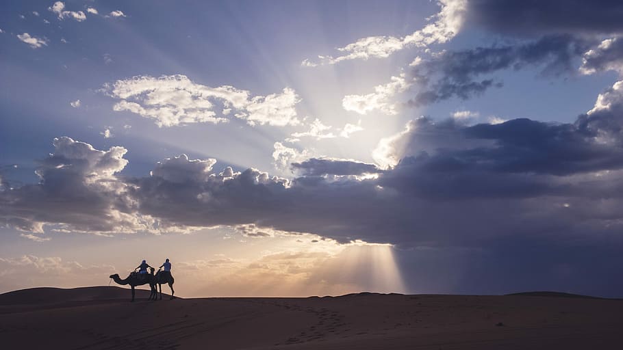 solnedgang, sandstorm, silhuet billede, to, person, ridning, kamel, ørken, landskab, Sky, sand, Sunray, himmel, sky - himmel, silhuet, natur, skønhed i naturen, to personer, scenics - natur, miljø, sollys, jord, voksen, mennesker, sol, fritidsaktivitet, herrer, dramatisk himmel, udendørs, 4K