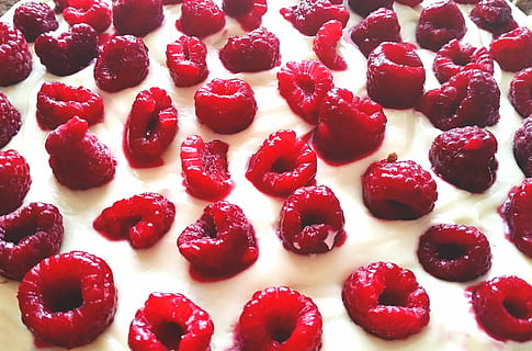 blanc, glaçat, rematat, gerds, maduixa, pastís, pastisseria, postres, dolços, fruites, menjar, crema, menjar i beguda, vermell, frescor, menjar dolç, fruita, primer pla, cap gent, alimentació saludable, fruites de baies, natura morta, a l'interior, dolç, benestar, llest per menjar, indulgència, marc complet, vista d’angle alt, temptació, 4K, CC0, domini públic, lliure de regalies