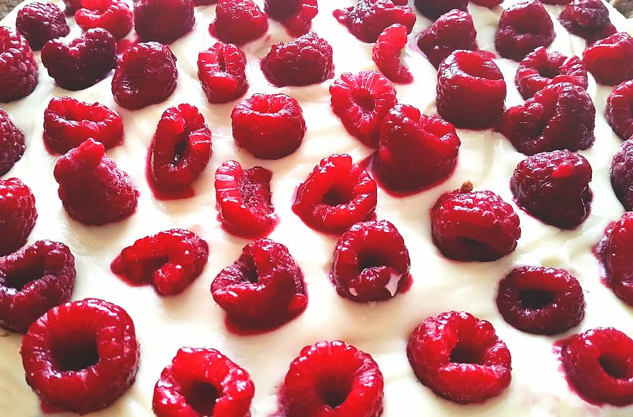 blanc, glaçat, rematat, gerds, maduixa, pastís, pastisseria, postres, dolços, fruites, menjar, crema, menjar i beguda, vermell, frescor, menjar dolç, fruita, primer pla, cap gent, alimentació saludable, fruites de baies, natura morta, a l'interior, dolç, benestar, llest per menjar, indulgència, marc complet, vista d’angle alt, temptació, 4K