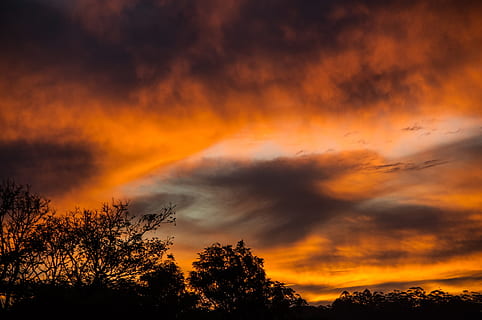 solnedgang cloud foto, solnedgang, himmel, skyer, orange, grå, dramatisk, Australien, horisont, træer, sky - himmel, træ, skønhed i naturen, orange farve, silhuet, dramatisk himmel, scenics - natur, ro, plante, cloudscape, ingen mennesker, idyllisk, natur, rolig scene, ærefrygt, majestætisk, lav vinkel visning, udendørs, mørk, trætop, meteorologi, romantisk himmel, 2K, CC0, offentligt domæne, royaltyfrie