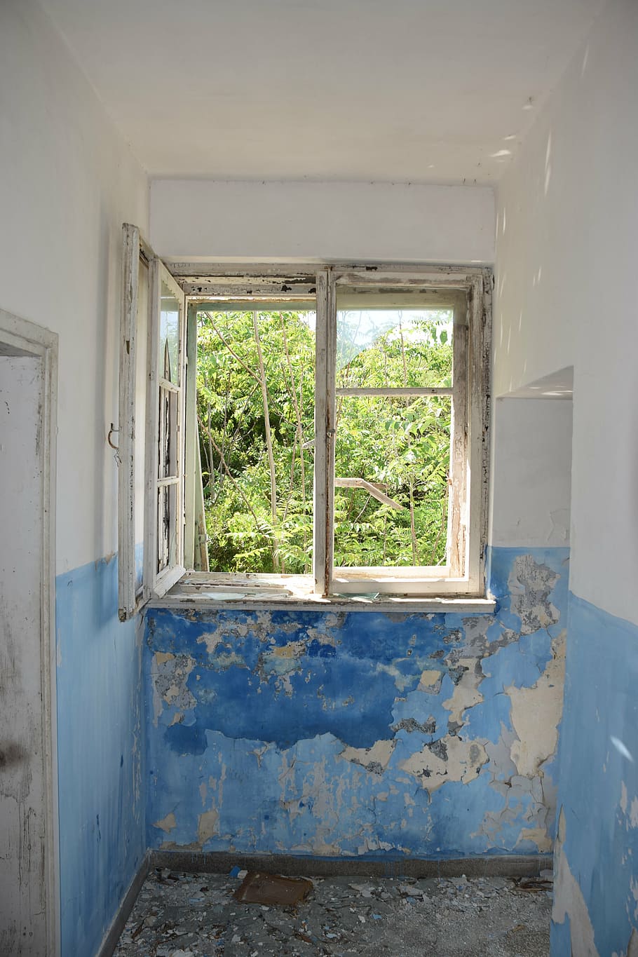 finestra, decaïment, enfonsar-se, paret, brut, abandonat, resistent, arquitectura, trencat, espatllat, construcció, història, cap gent, dia, planta, estructura construïda, vidre - material, edifici, obsoleta, aixafar, vell, a l'interior, declivi, funció de construcció de parets, casa, deteriorament, arbre, sostre, arruïnat, 5K