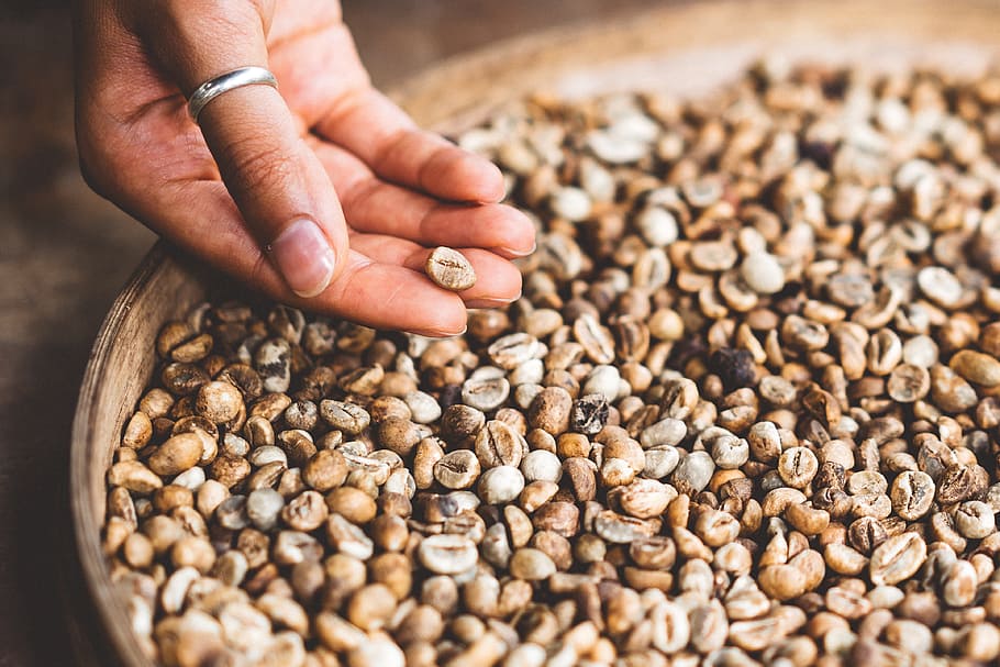 kaffe, bønne, hånd, ring, menneskelig hånd, menneskelig kropsdel, mad og drikke, mad, en person, friskhed, tæt på, selektiv fokusering, stor gruppe af objekter, overflod, nød, senior voksen, høj vinkel visning, voksen, møtrik - mad, indendørs, natur, finger, 4K