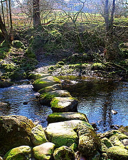 pedra, trepitjant, corrent, rierol, arbres, naturalesa, rock, estiu, natural, escena, a l'aire lliure, paisatge, esglaons, aigua, passos, el districte del llac, cumbria, UK, riu, que flueix, reflexió, moviment, còdols, verd, calma, arbre, planta, bellesa a la natura, bosc, sòlid, tranquil·litat, cap gent, rock - object, terra, dia, escenics - natura, creixement, escena tranquil·la, aigua que flueix, escena no urbana, rierol: aigua que flueix, 2K, CC0, domini públic, lliure de regalies