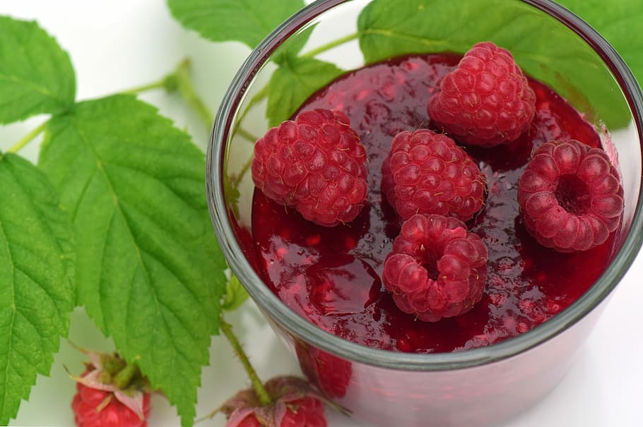 melmelada de gerds, gerds, melmelada, cuinar, cuina de melmelada, casolà, deliciós, dolç, fresc, afruitat, pressupost, vermell, fer una, pot de melmelada, saludable, vermell de baies, collit, baia, menjar i beguda, fruita, fruites de baies, alimentació saludable, menjar, frescor, full, part de la planta, bol, benestar, primer pla, vista d’angle alt, estri de cuina, a l'interior, cap gent, naturalesa, cullera, taula, vidre, herba, iogurt, fulla de menta - culinària, madur, decorar, 5K