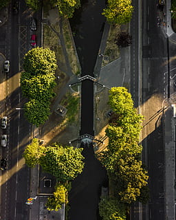 vista dels ocells, arbres, aèria, vista, cos, aigua, porta, ombra, persona, flux, relaxa't, Irlanda, estiu, bloqueig, moll, fred, cotxe, carretera, posta de sol, taronja, verd, simètric, simetria, volant, volar, mavic pro, planta, arquitectura, estructura construïda, arbre, exterior de l'edifici, cap gent, ciutat, naturalesa, a l'aire lliure, dia, edifici, carrer, il·luminat, creixement, llum solar, llum del carrer, reflexió, espiritualitat, creu, color verd, 2K, CC0, domini públic, lliure de regalies