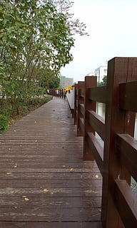 Frühlingssaal, Brücke, künstlerische Konzeption, Holz - Material, Richtung, der Weg nach vorn, Pflanze, die Architektur, Geländer, Baum, Himmel, Natur, gebaute Struktur, Tag, Fußweg, Holz, draußen, keine Leute, abnehmende Perspektive, klarer Himmel, Holzverkleidung, Promenade, lange, 4K, CC0, gemeinfrei, lizenzfrei