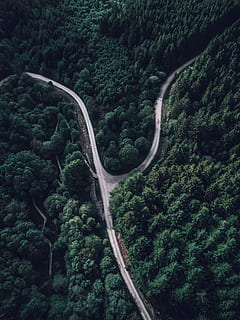 Top, zobacz fotografię, las, antenowy, Góra, przechodzić, dzień, widelec drogowy, Droga, tor, drzewa, sosny, warkot, brecon, Natura, brecon beacon, dji, mavic pro, mavic, drzewo, roślina, piękno natury, zielony kolor, scenics - natura, żadnych ludzi, transport, wysoki kąt widzenia, scena pozamiejska, wzrost, krzywa, spokój, spokojna scena, środowisko, wylądować, Kręta droga, na dworze, górska droga, powyżej, 4K, CC0, domena publiczna, darmowe zdjęcia