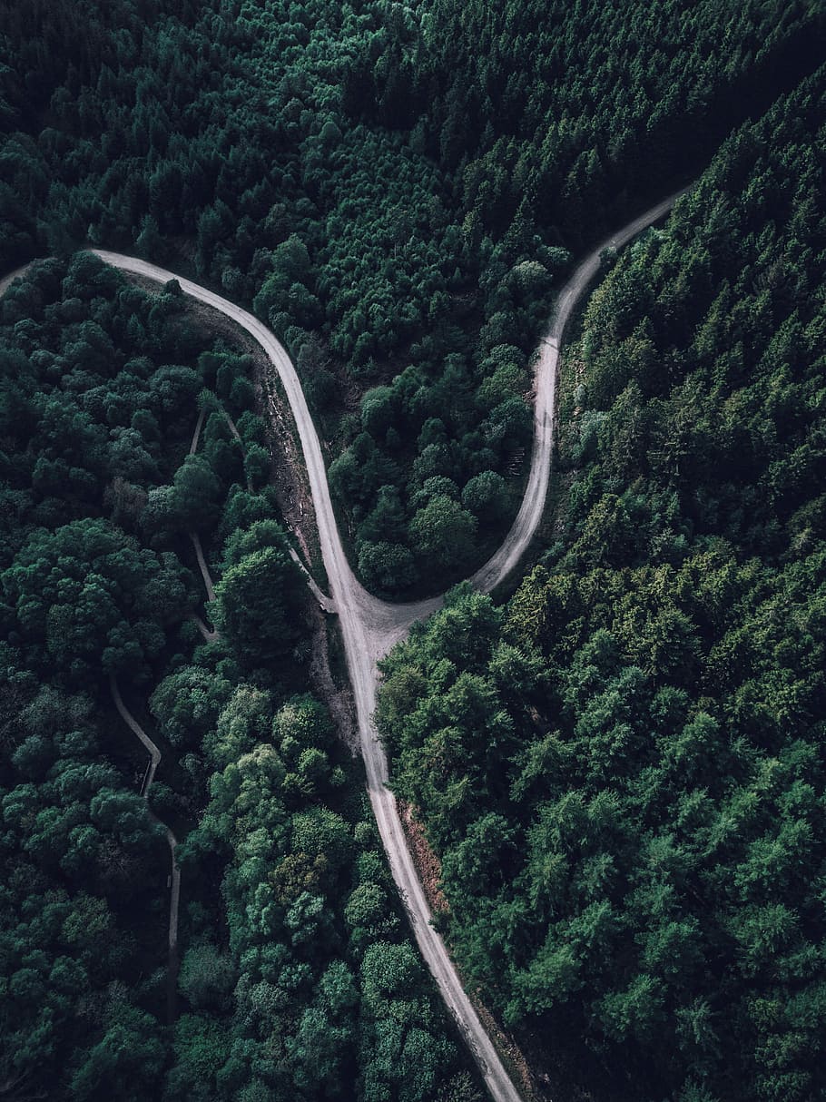 superior, veure la fotografia, bosc, aèria, muntanya, passar, durant el dia, forquilla de carretera, carretera, pista, arbres, pins, drone, brecon, naturalesa, brecon beacon, dji, mavic pro, mavic, arbre, planta, bellesa a la natura, color verd, escenics - natura, cap gent, transport, vista d’angle alt, escena no urbana, creixement, corba, dia, tranquil·litat, escena tranquil·la, medi ambient, terra, carretera sinuosa, a l'aire lliure, carretera de muntanya, a dalt, 4K