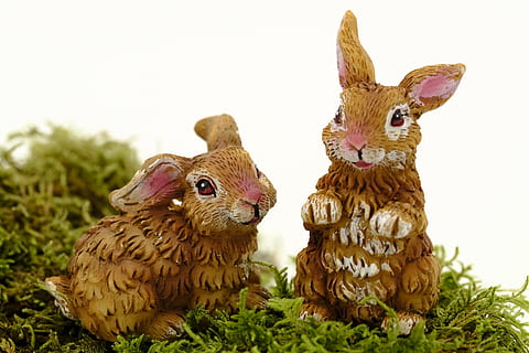 Ostern, Osterhase, Osterfeier, Hase, osterkarte, Postkarte, Grußkarte, Tier, Tierthemen, Säugetier, Tierdarstellung, Haustiere, keine Leute, Darstellung, Kaninchen - Tier, Jungtier, Vieh, Pflanze, Gruppe von Tieren, Feier, Gras, inländisch, zwei tiere, süß, 5K, CC0, gemeinfrei, lizenzfrei